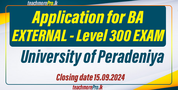 BA External New Syllabus 300 Level Exam