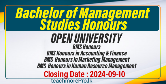 Bachelor of Management Studies