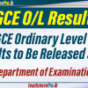 2023 GCE Ordinary Level Exam Results to Be Released Soon