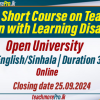 Online Short Course on Teaching Children with Learning Disabilities