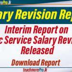 Interim Report on Public Service Salary Revisions Released