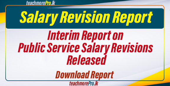 Interim Report on Public Service Salary Revisions Released