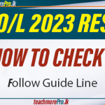 GCE O/L 2023 Result How to check results on www.doenets.lk