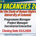 Programme Manager, Project Manager, Secretarial Executive