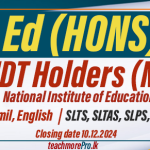 B Ed (Hons) Degree 2025 - National Institute of Education (NIE)