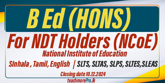 B Ed (Hons) Degree 2025 - National Institute of Education (NIE)