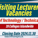 Visiting Lecturers Vacancies - Technical, Technological Colleges 2025