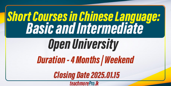 Short Courses in Chinese Language: Basic and Intermediate