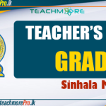 Teachers Guide Grade 3