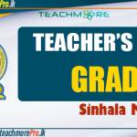 Teachers Guide Grade 5 Sinhala Medium PDF