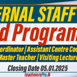 External Staff for BEd (Hons) Degree - National Institute of Education (NIE)