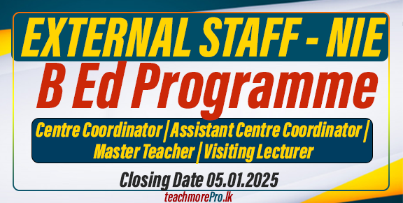 External Staff for BEd (Hons) Degree - National Institute of Education (NIE)