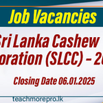 Vacancies at Sri Lanka Cashew Corporation (SLCC) – 2025 January