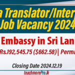 Sinhala Translator Job Vacancy