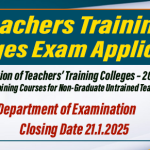 Teachers Training Colleges Examination Application 2025